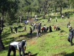 fidan 2.jpg